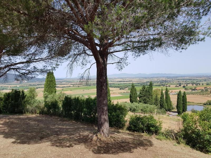Poggio Alto Agrioturismo Villa Grosseto Kültér fotó